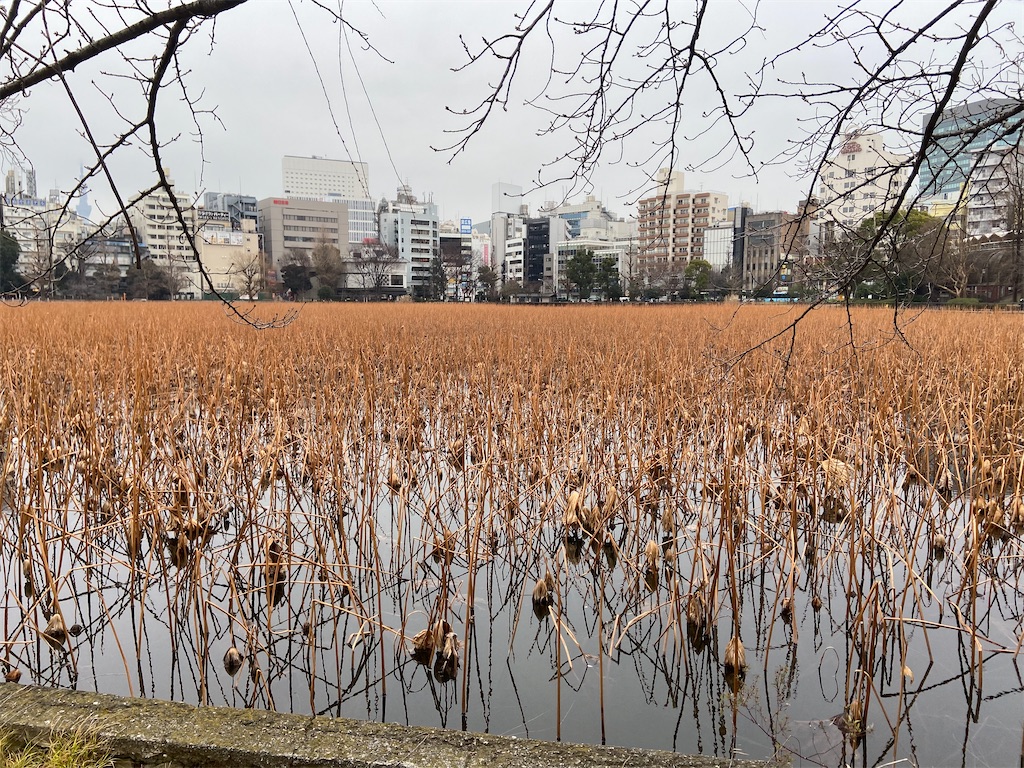 f:id:KoHarada:20240324002619j:image f:id:KoHarada:20240324002619j:image