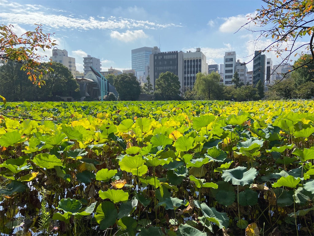 f:id:KoHarada:20240324003113j:image f:id:KoHarada:20240324003113j:image