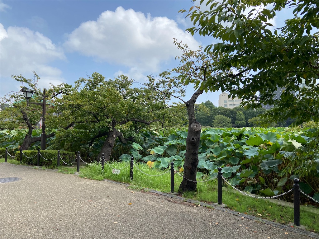 f:id:KoHarada:20240324003117j:image f:id:KoHarada:20240324003117j:image