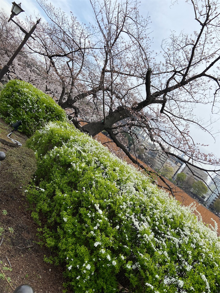 f:id:KoHarada:20240324003159j:image f:id:KoHarada:20240324003159j:image