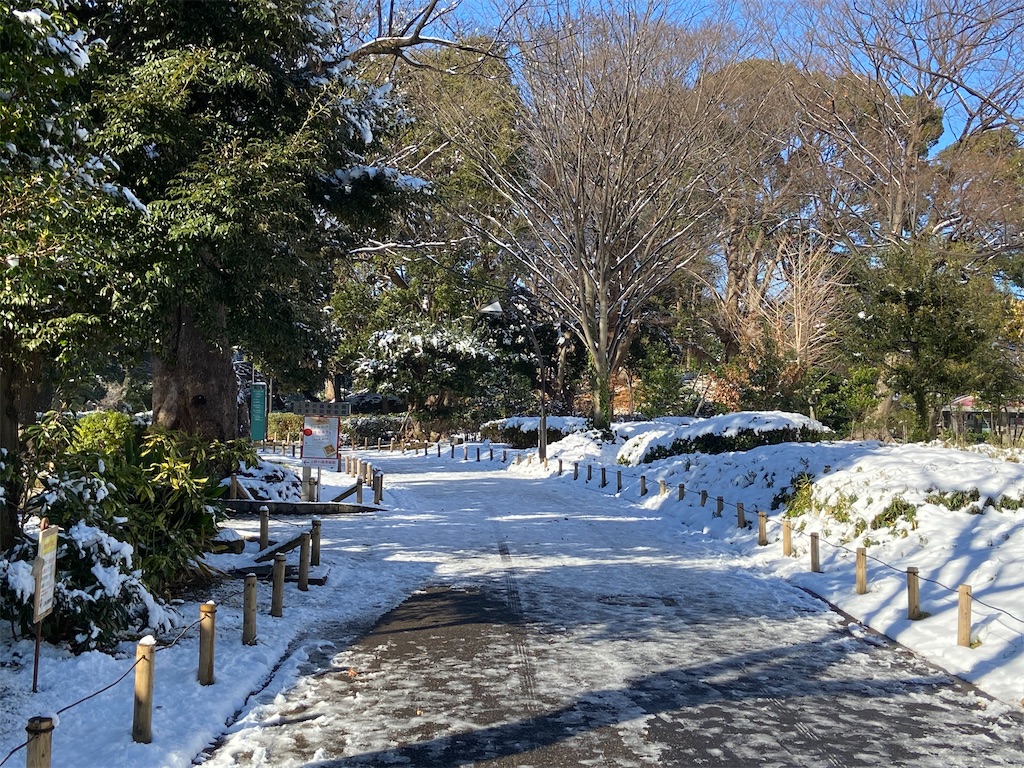 f:id:KoHarada:20240324003323j:image f:id:KoHarada:20240324003323j:image