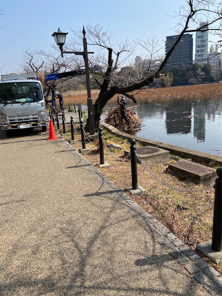 f:id:KoHarada:20240324003521j:image f:id:KoHarada:20240324003521j:image