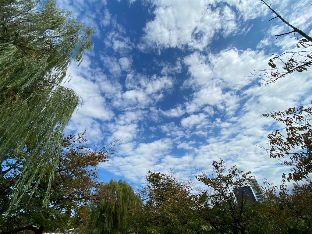 f:id:KoHarada:20240324003744j:image f:id:KoHarada:20240324003744j:image