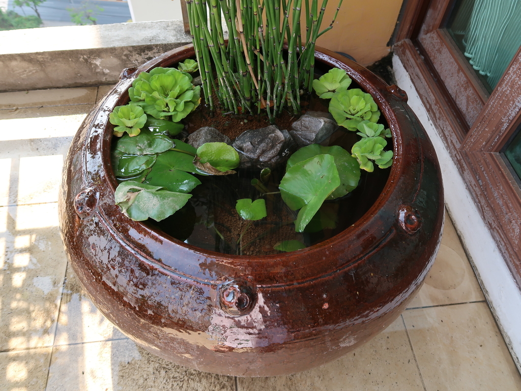 f:id:Koalakko:20190219233206j:plain