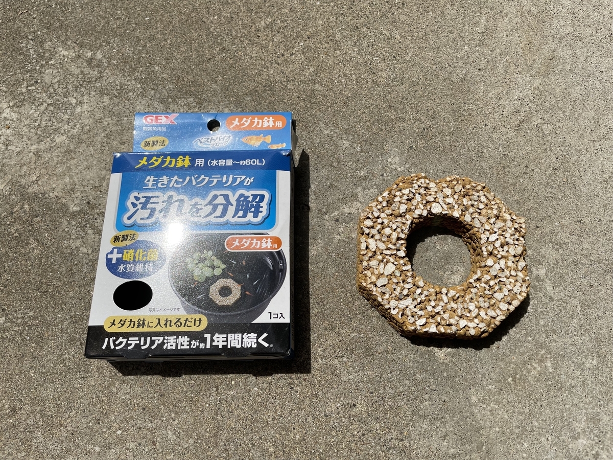 f:id:Koalakko:20210615130713j:plain