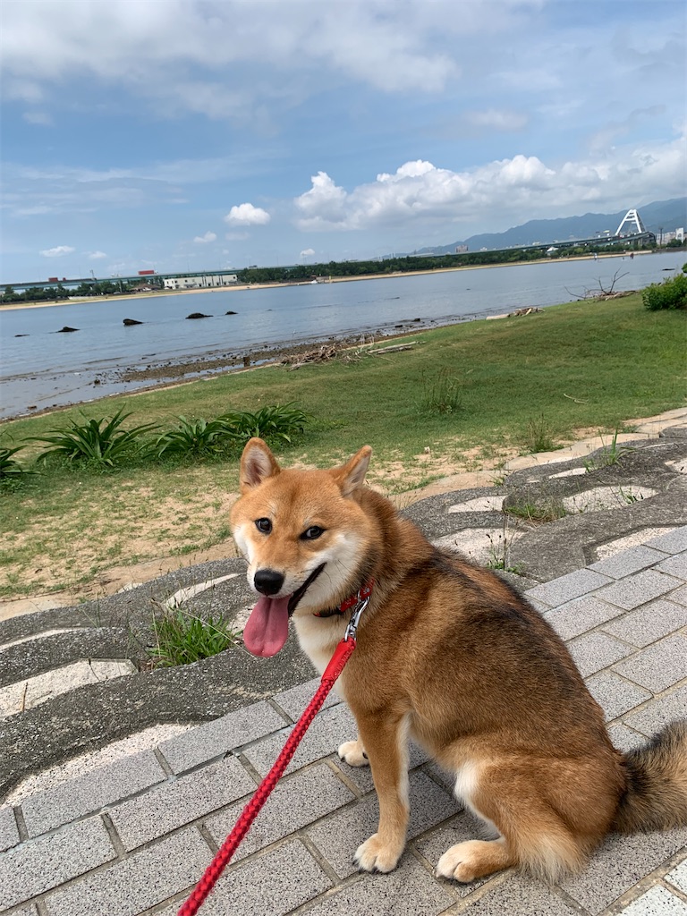 f:id:KobayannANIMAL:20211230142323j:image f:id:KobayannANIMAL:20211230142323j:image