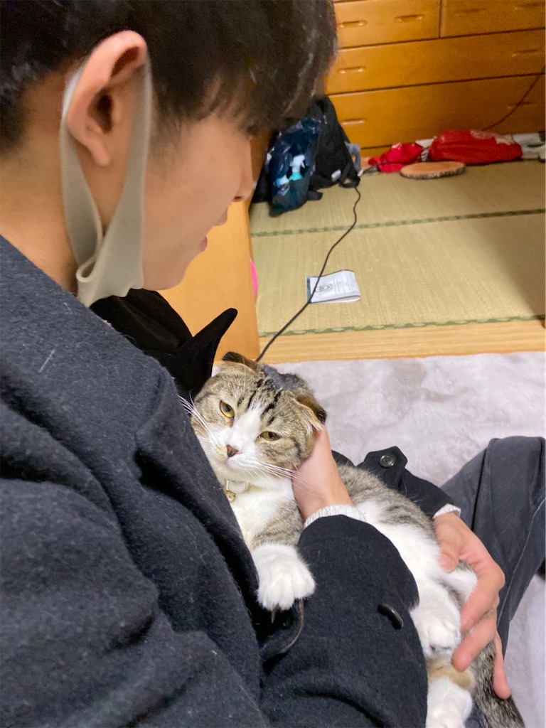 f:id:KobayannANIMAL:20220105132901j:image f:id:KobayannANIMAL:20220105132901j:image