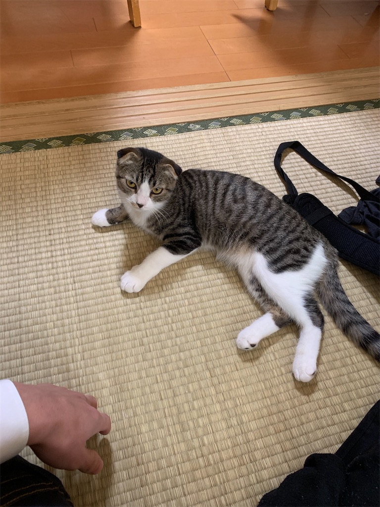 f:id:KobayannANIMAL:20220106203650j:image f:id:KobayannANIMAL:20220106203650j:image