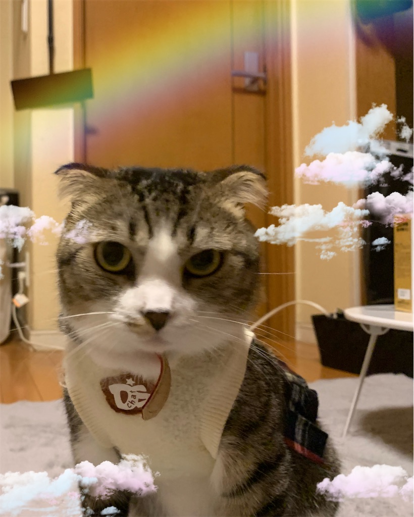 f:id:KobayannANIMAL:20220117063440j:image f:id:KobayannANIMAL:20220117063440j:image