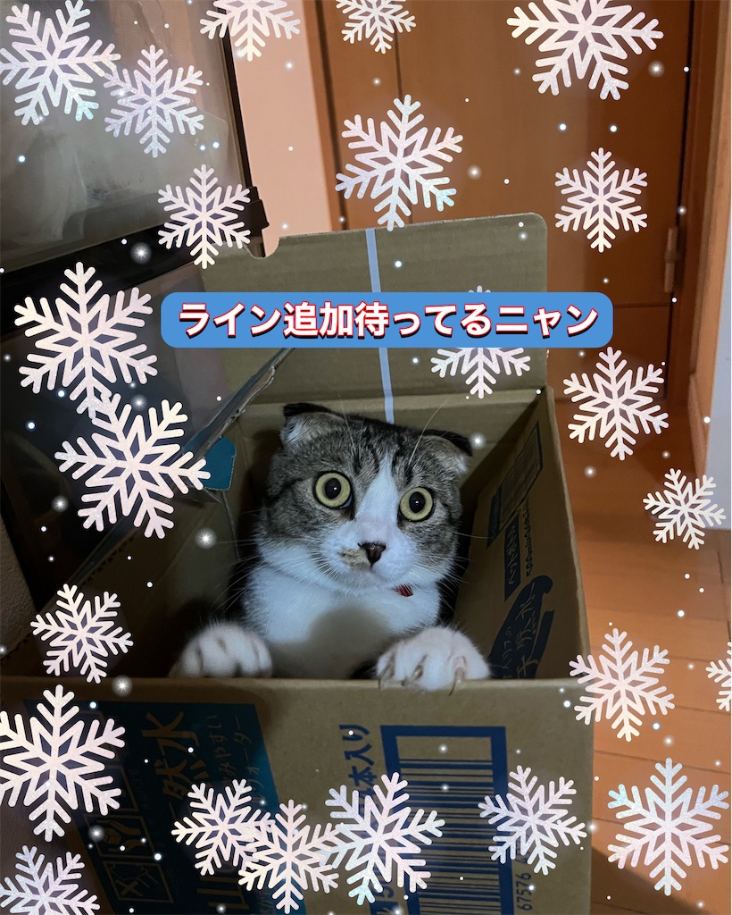 f:id:KobayannANIMAL:20220117063917j:image f:id:KobayannANIMAL:20220117063917j:image
