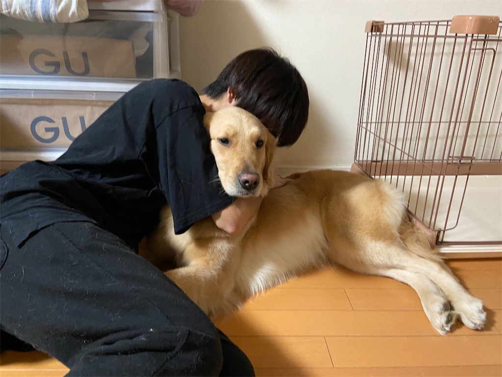 f:id:KobayannANIMAL:20220126032948j:image f:id:KobayannANIMAL:20220126032948j:image