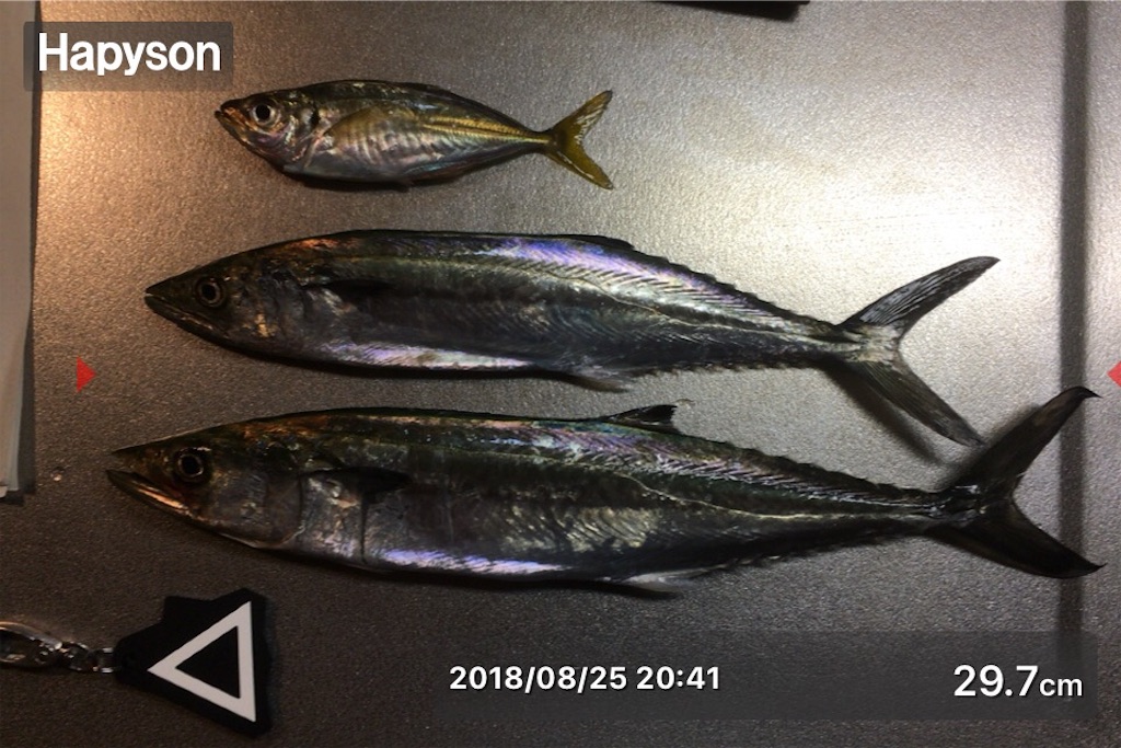 f:id:Kobe_Angler:20180826114604j:image