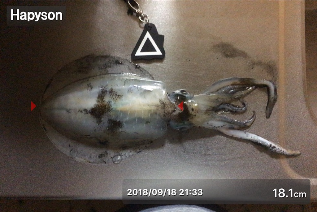 f:id:Kobe_Angler:20180920001538j:image