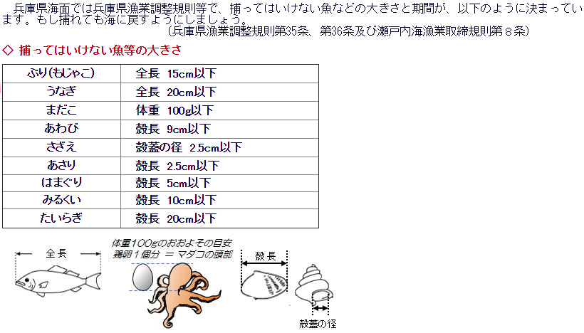 f:id:Kobe_Angler:20190316104904p:plain