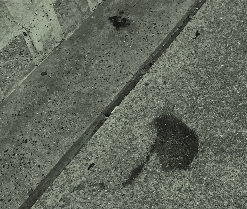 f:id:Kobe_Angler:20190513232222j:image