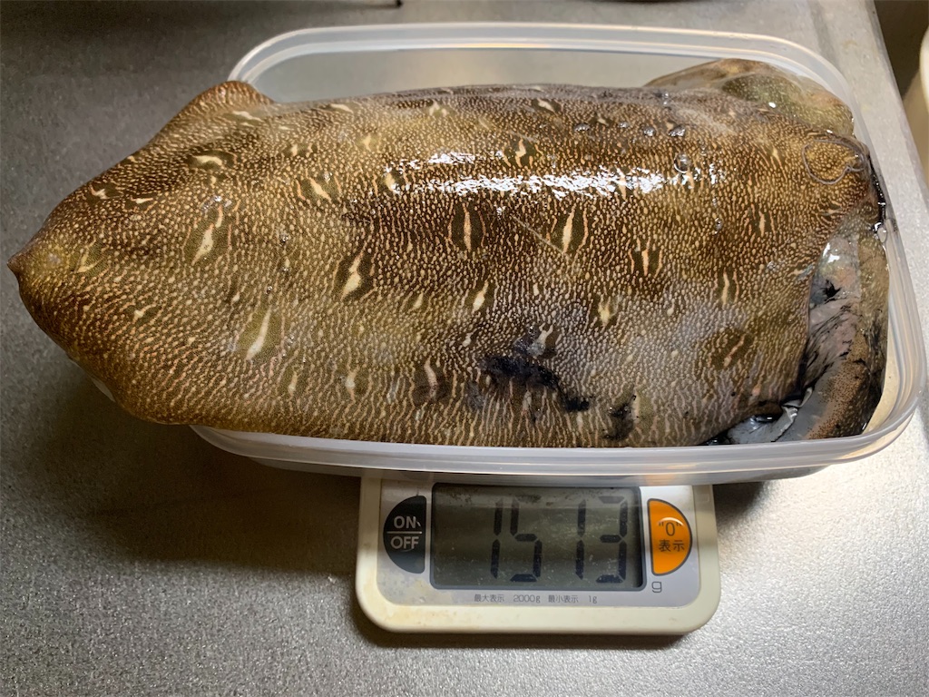 f:id:Kobe_Angler:20190601160132j:image