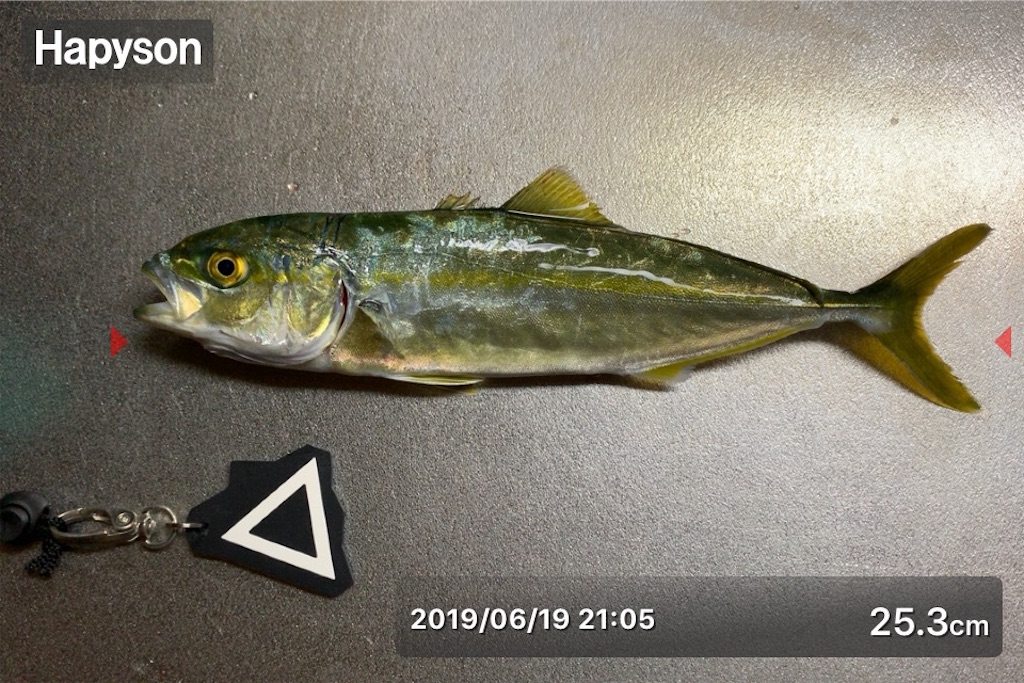 f:id:Kobe_Angler:20190621213013j:image