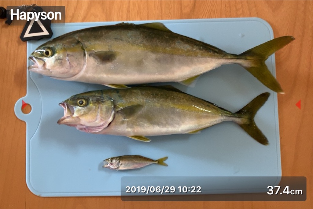 f:id:Kobe_Angler:20190630101209j:image