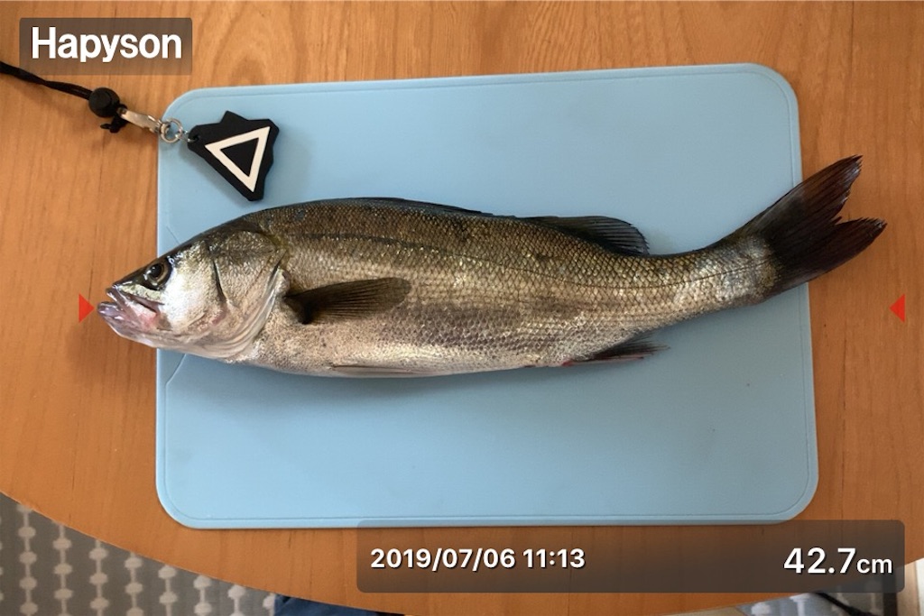 f:id:Kobe_Angler:20190707131517j:image