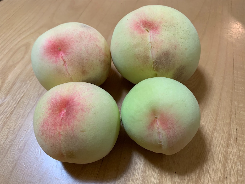 和歌山に あら川の桃 を買いに行く 神戸界隈での釣り日記