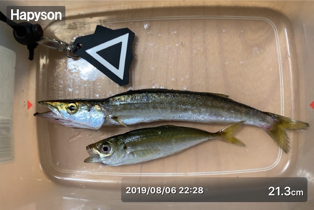 f:id:Kobe_Angler:20190808133736j:image