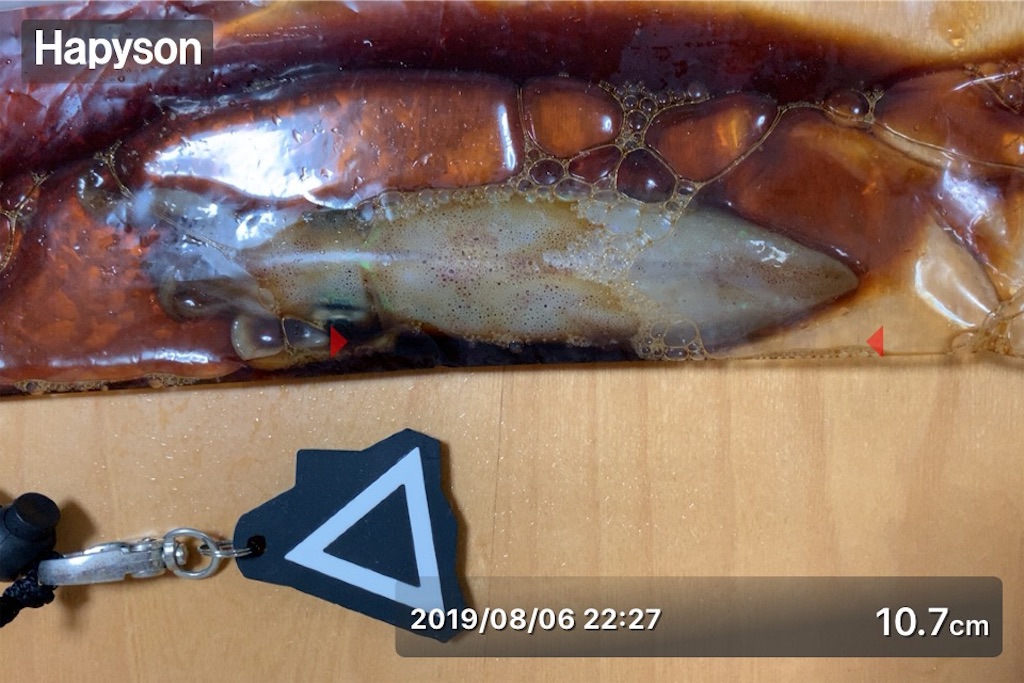 f:id:Kobe_Angler:20190808133738j:image