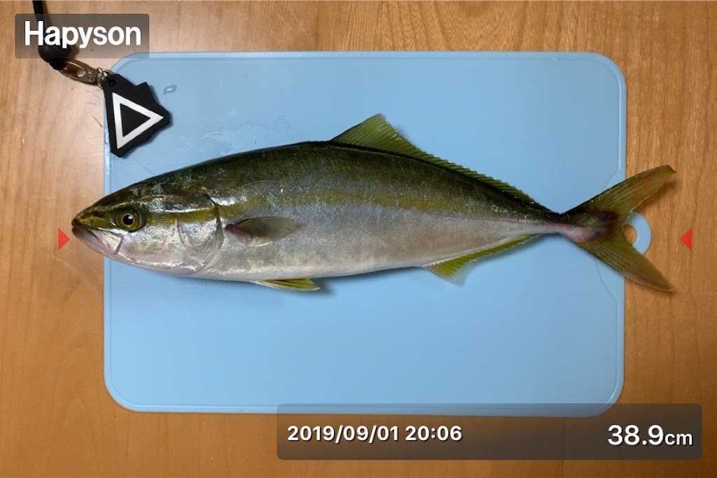 f:id:Kobe_Angler:20190904090442j:image