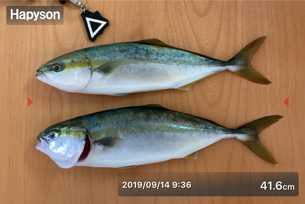 f:id:Kobe_Angler:20190915115750j:image