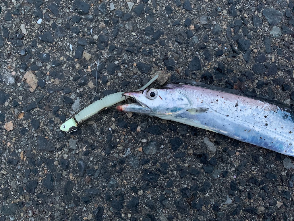 f:id:Kobe_Angler:20191003100646j:image