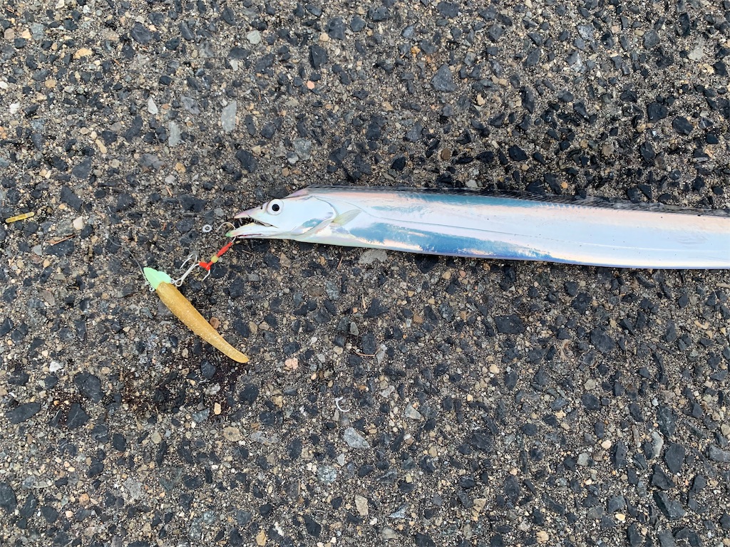 f:id:Kobe_Angler:20191003100651j:image