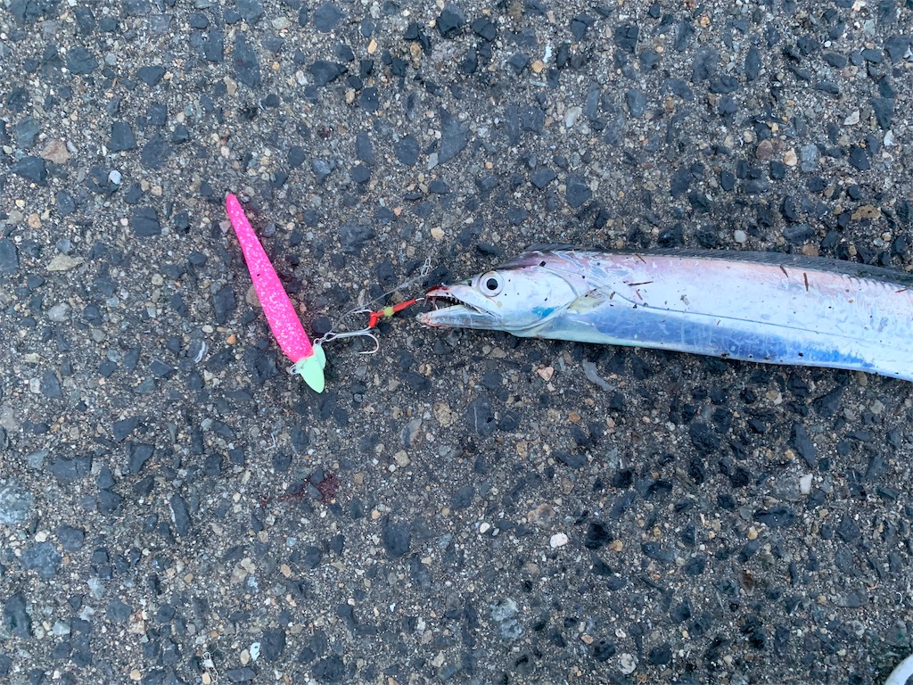 f:id:Kobe_Angler:20191003100654j:image