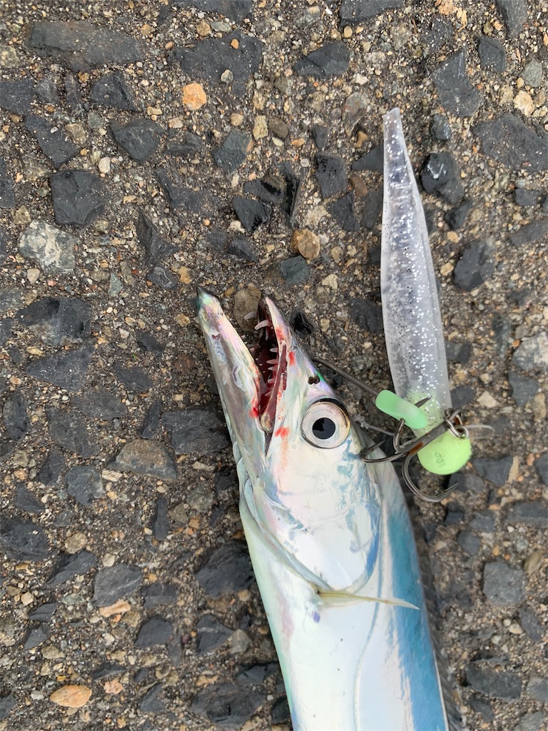 f:id:Kobe_Angler:20191003100657j:image