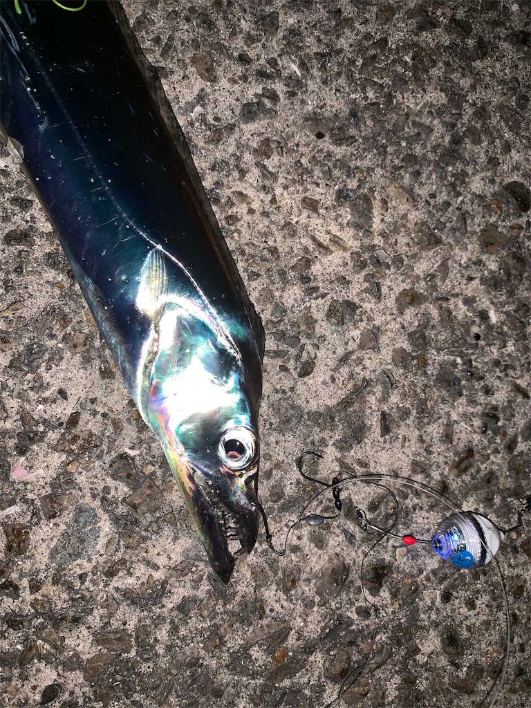 f:id:Kobe_Angler:20191102145255j:image f:id:Kobe_Angler:20191102145255j:image