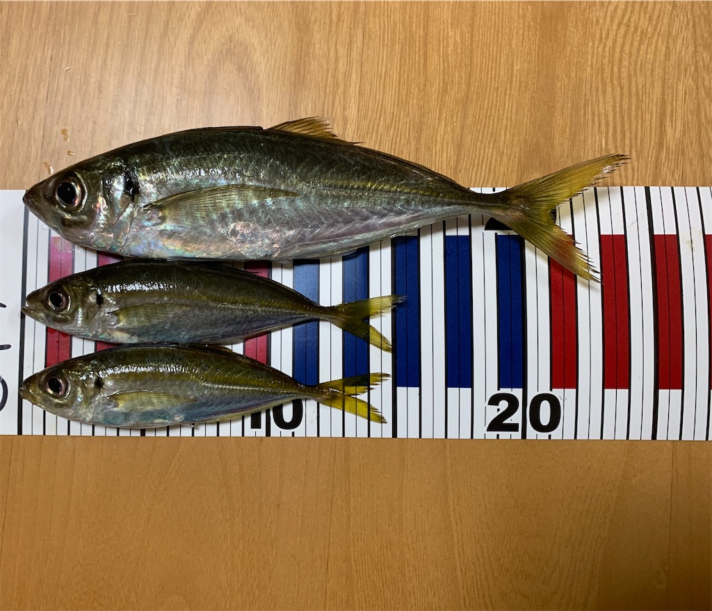 f:id:Kobe_Angler:20191214085241j:image f:id:Kobe_Angler:20191214085241j:image