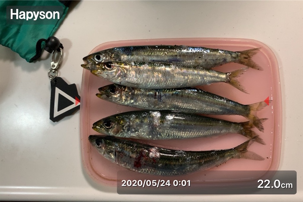 f:id:Kobe_Angler:20200524124925j:image