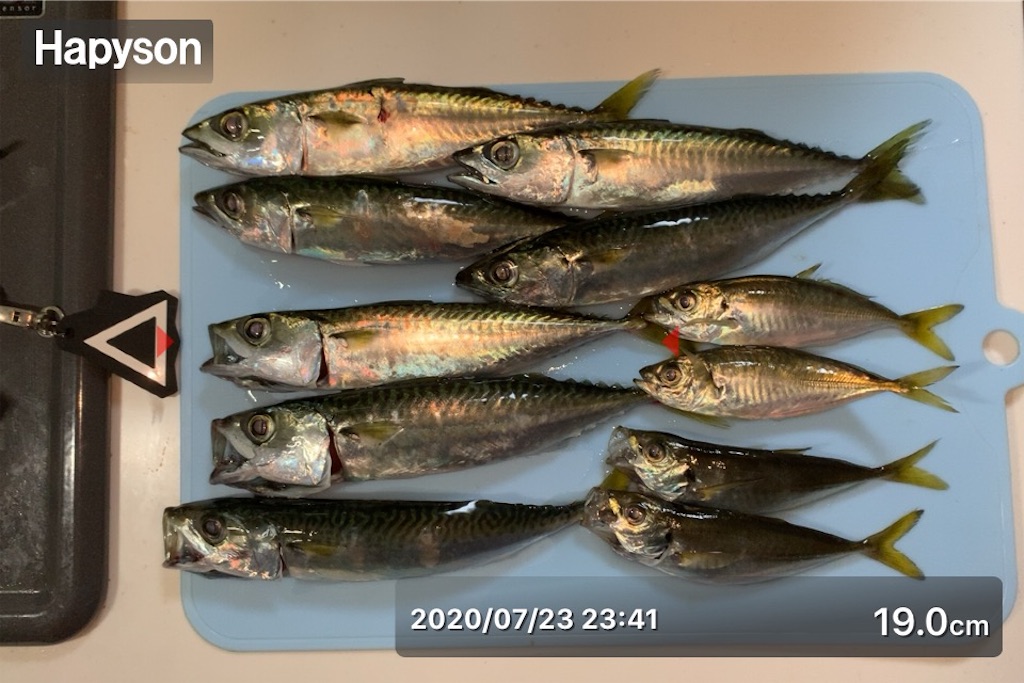 f:id:Kobe_Angler:20200724135923j:image