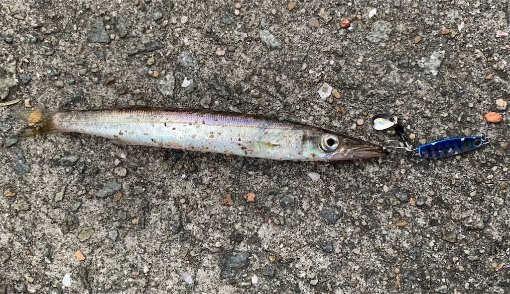 f:id:Kobe_Angler:20210630134658j:image