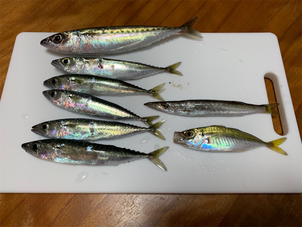 f:id:Kobe_Angler:20210630141444j:image