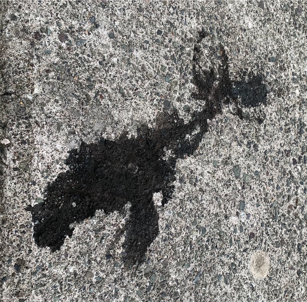 f:id:Kobe_Angler:20211003120832j:image