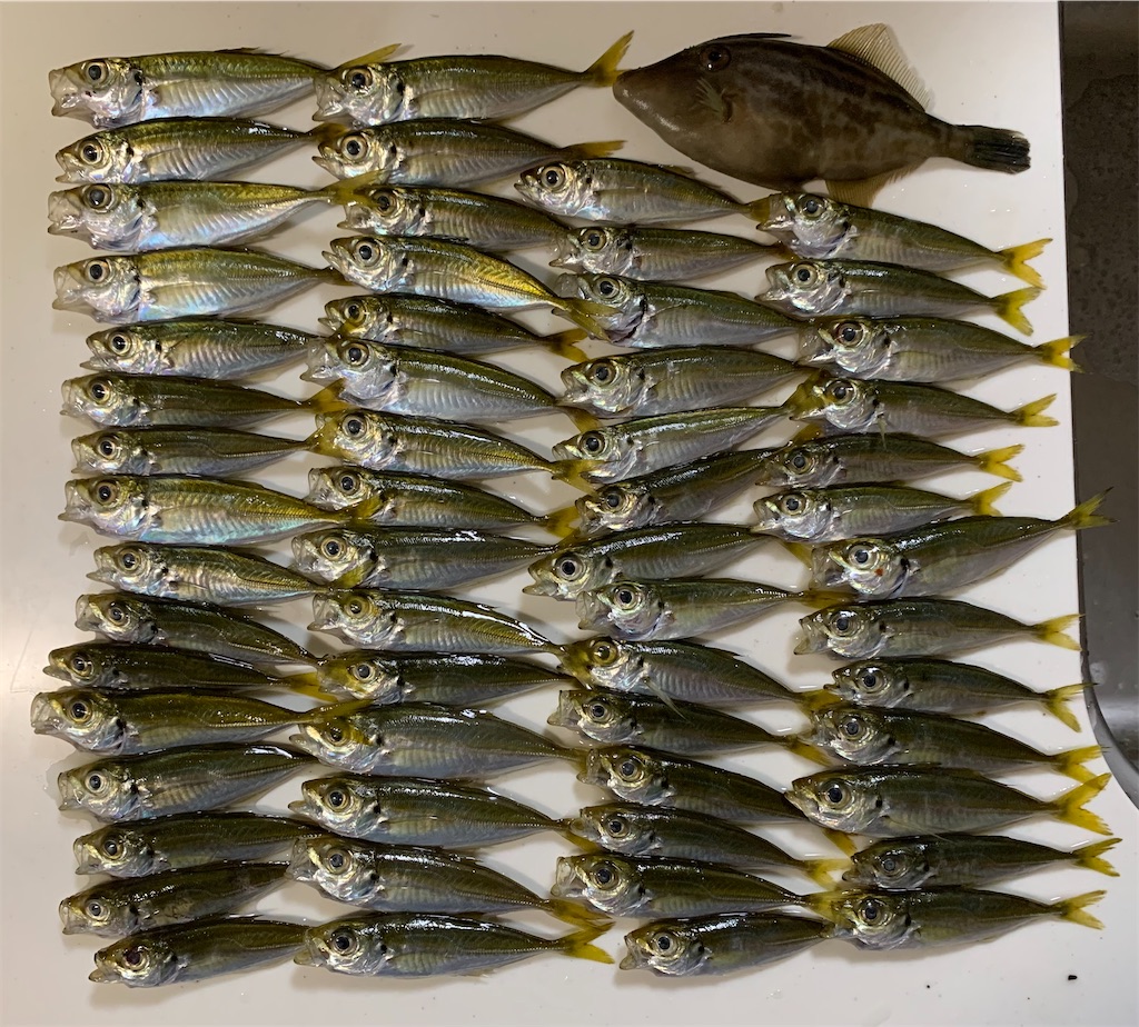 f:id:Kobe_Angler:20211003120905j:image