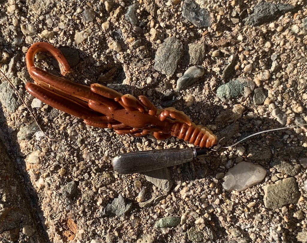 f:id:Kobe_Angler:20230717130851j:image