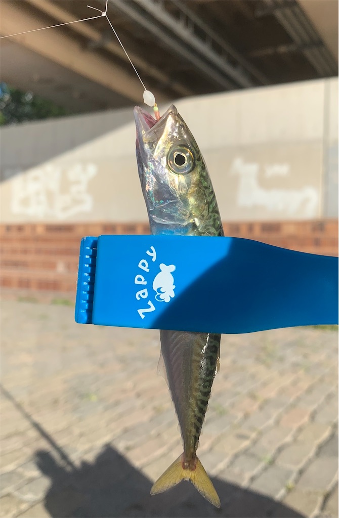 f:id:Kobe_Angler:20230717130859j:image