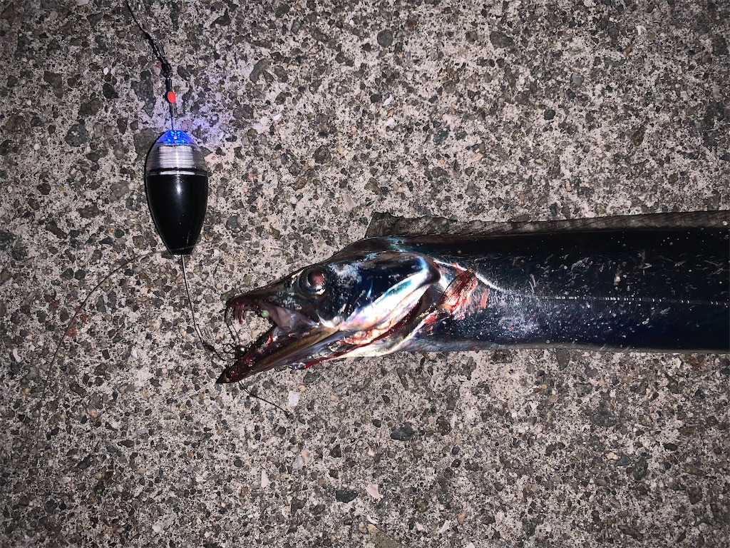 f:id:Kobe_Angler:20241013141833j:image