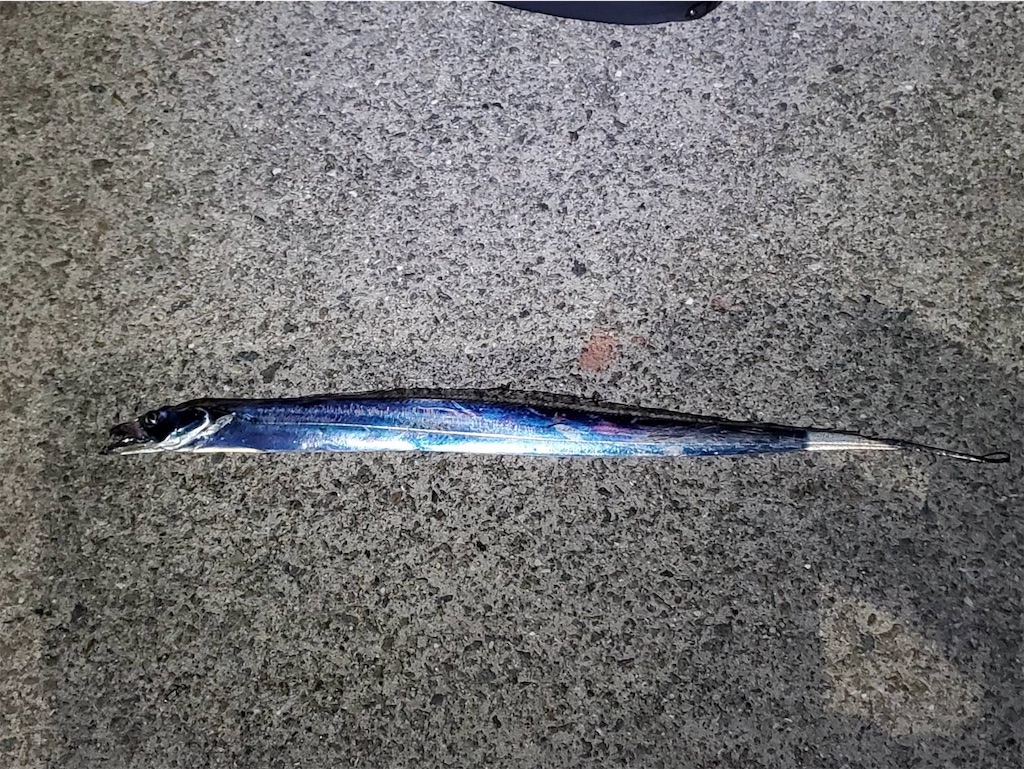 f:id:Kobe_Angler:20241013141844j:image