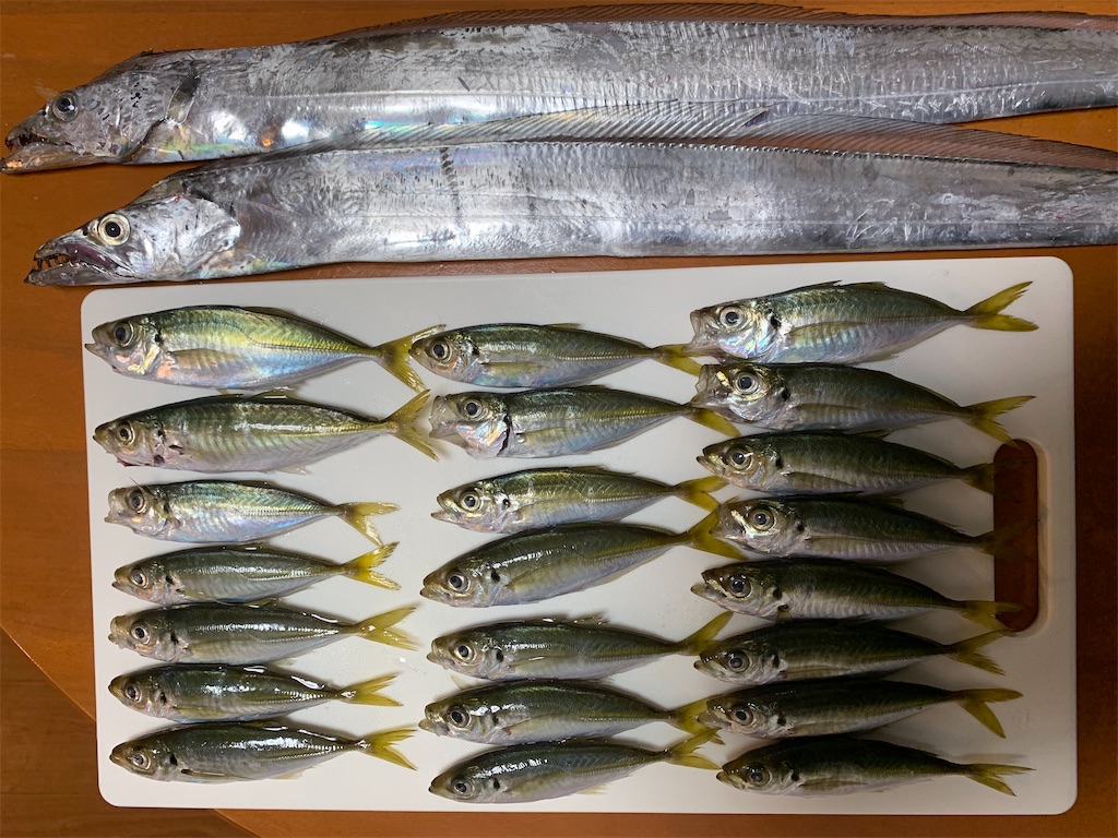 f:id:Kobe_Angler:20241013141916j:image