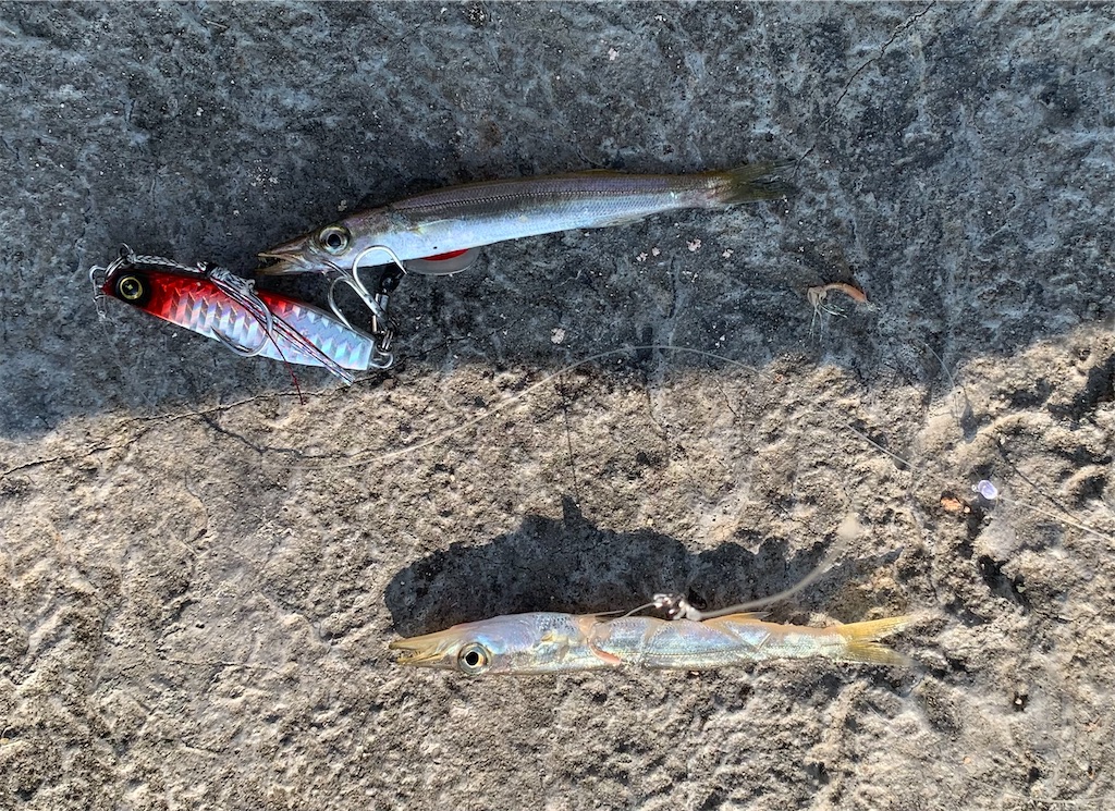 f:id:Kobe_Angler:20250803124207j:image