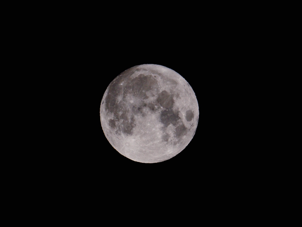 f:id:Kochab:20211021104554j:plain