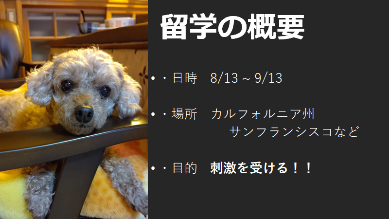 f:id:Kod2212:20191225104835p:plain
