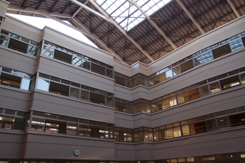 f:id:Kodachan:20200823214948j:plain