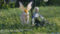 PSO2NGS クローズドβテスト